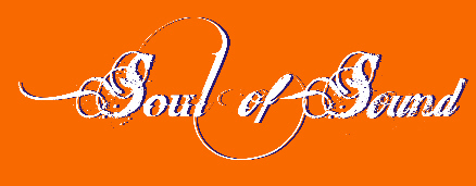 logo de soul of sound